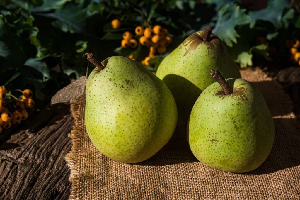 Three ripe green pears on burlap with leafy background, sunlit scene.